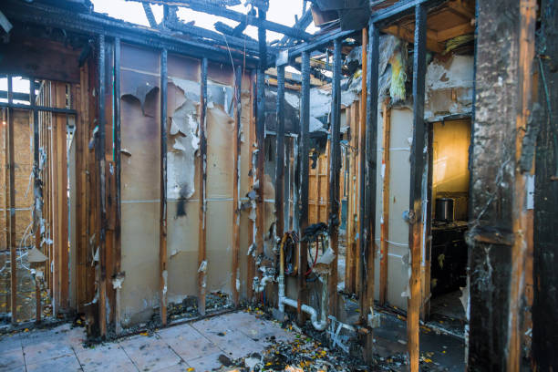 Professional Fire Damage Removal technician working in Cokato, MN
