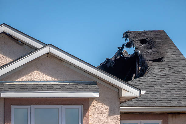 Top rated local Fire Damage Removal specialists in Cokato, MN